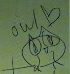 owl owl